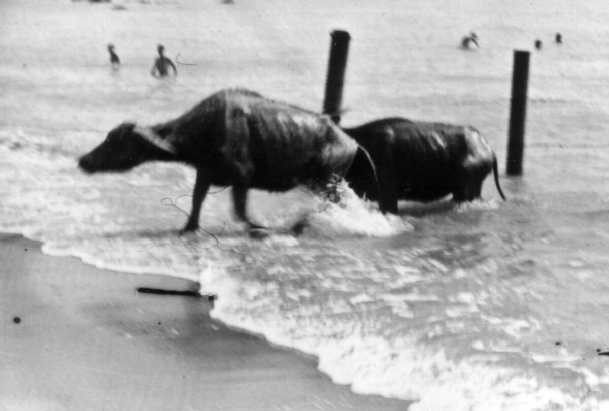 East Anglian Regiment