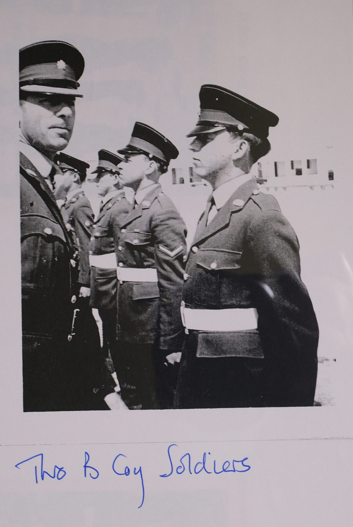 Royal Anglian Regiment