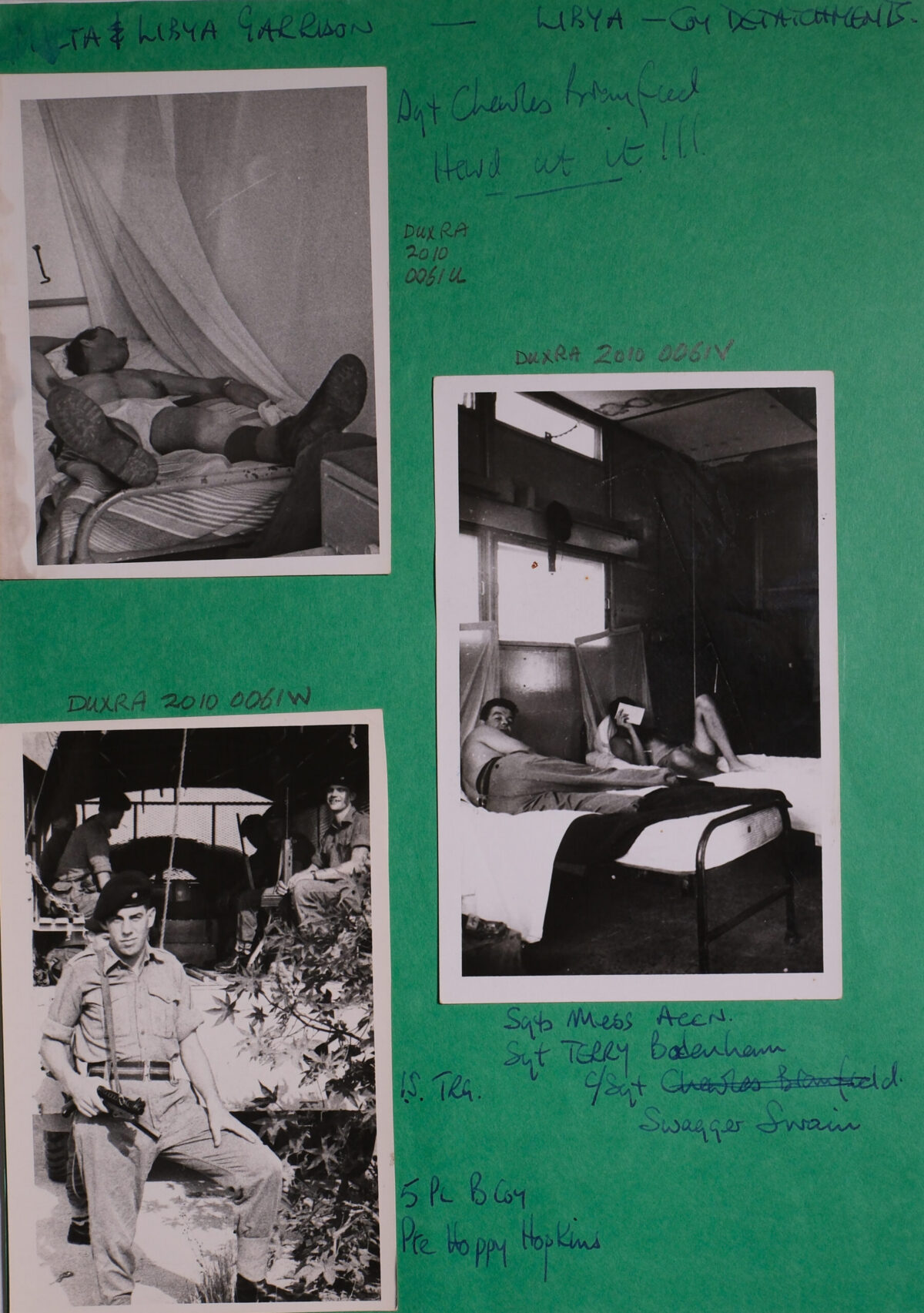 Royal Anglian Regiment Royal Anglian Regiment