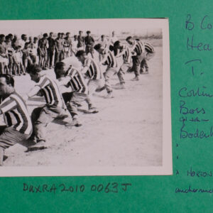 Royal Anglian Regiment