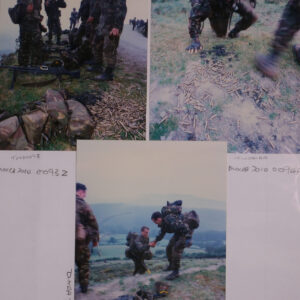 Royal Anglian Regiment Royal Anglian Regiment