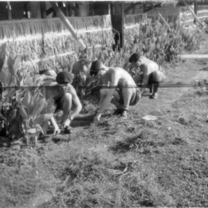 East Anglian Regiment