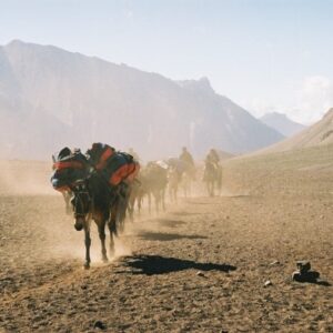 2nd Battalion Royal Anglian Regiment on Exercise Ades Dragon in Peru in 2001.