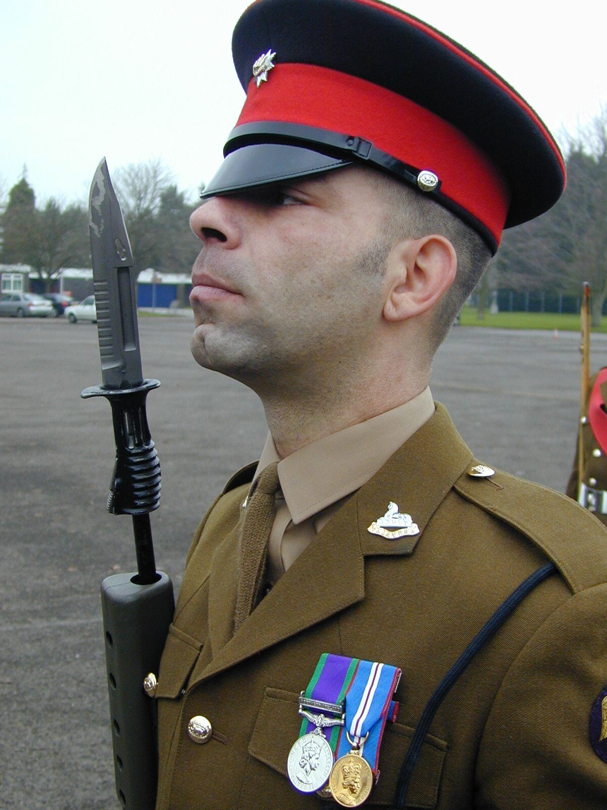 2nd Battalion Royal Anglian Regiment
