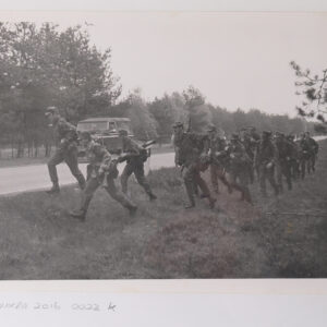 Royal Anglian Regiment Royal Anglian Regiment