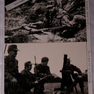 Royal Anglian Regiment Royal Anglian Regiment
