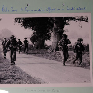 Royal Anglian Regiment Royal Anglian Regiment