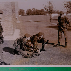 Royal Anglian Regiment Royal Anglian Regiment