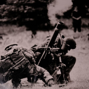 Royal Anglian Regiment Royal Anglian Regiment