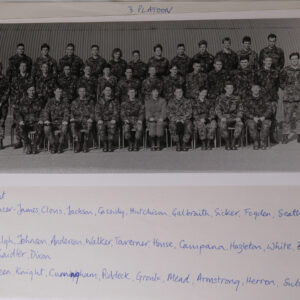 Royal Anglian Regiment Royal Anglian Regiment
