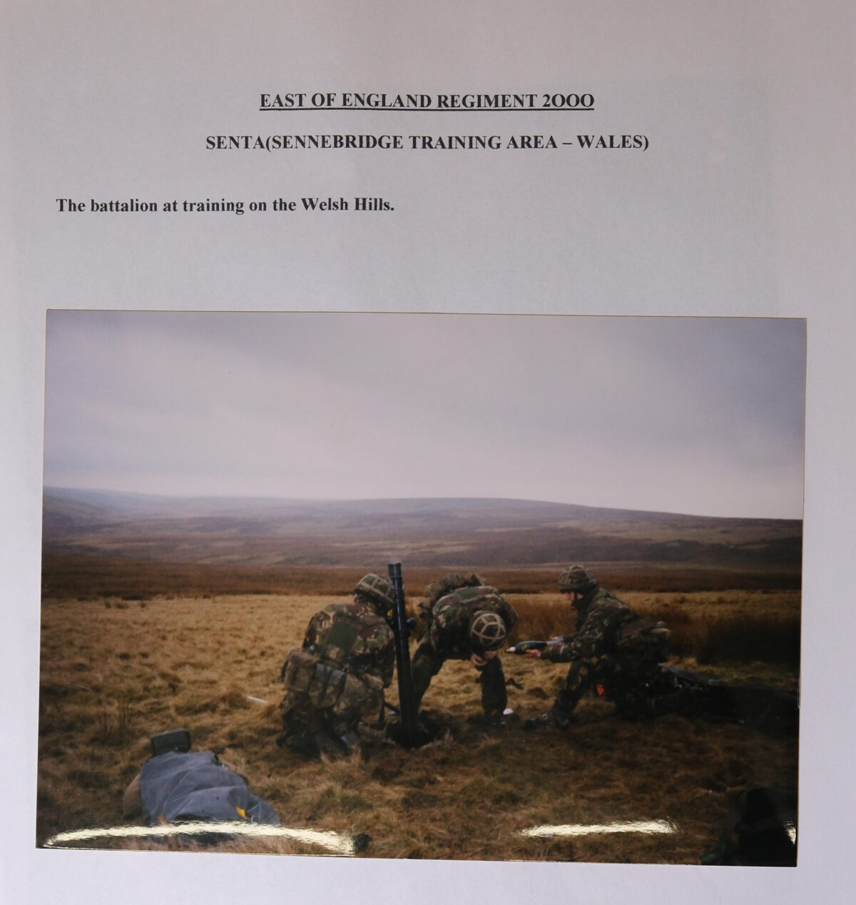 Royal Anglian Regiment Royal Anglian Regiment