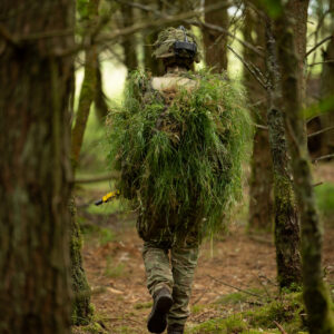 Exercise Viking Strike