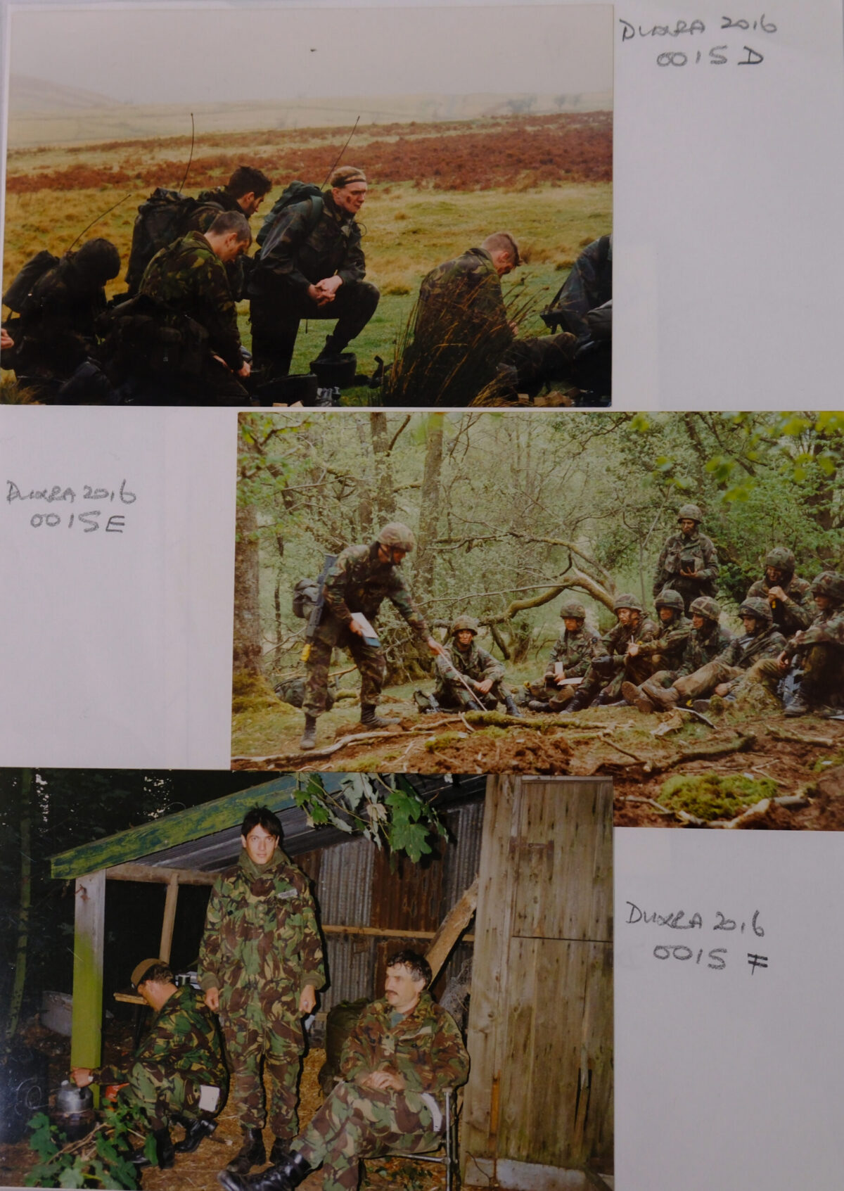 Royal Anglian Regiment.
