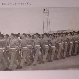 Royal Anglian Regiment Royal Anglian Regiment