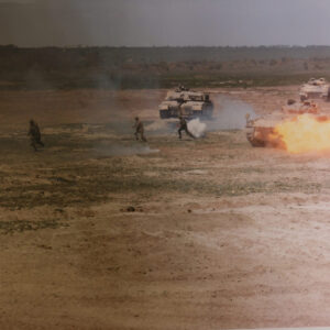 Royal Anglian Regiment Royal Anglian Regiment