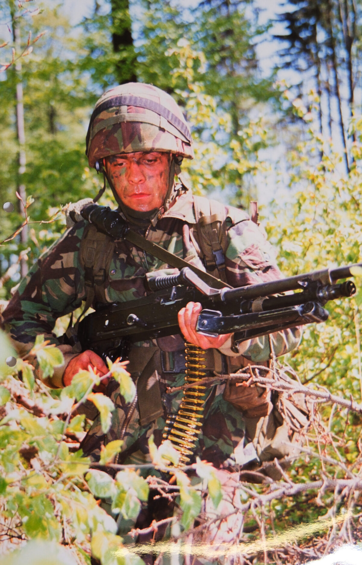 Royal Anglian Regiment Royal Anglian Regiment