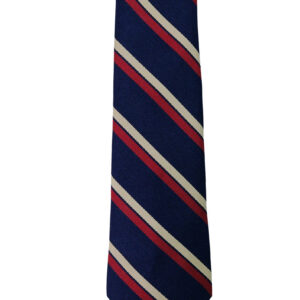 Royal Anglian Regimental tie