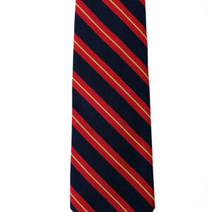 Royal Anglian Regimental tie