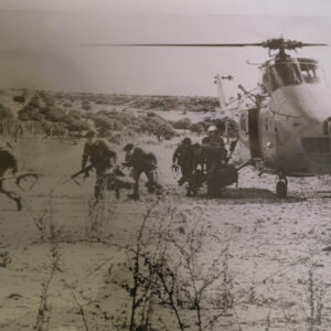 Royal Anglian Regiment Royal Anglian Regiment