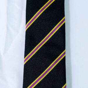Royal Anglian Regimental tie