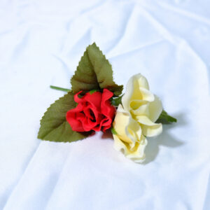 Minden Roses Minden Roses