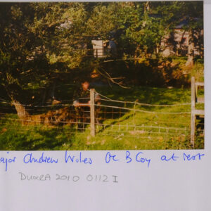 6th Battalion, Royal Anglian Regiment.