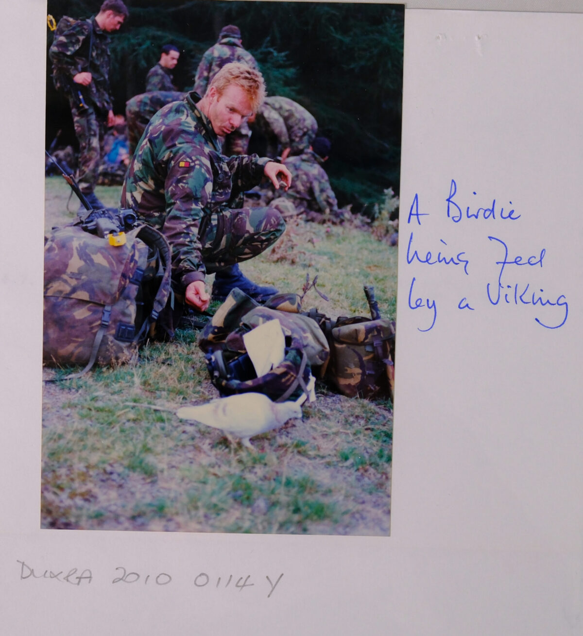 Royal Anglian Regiment. Royal Anglian Regiment.