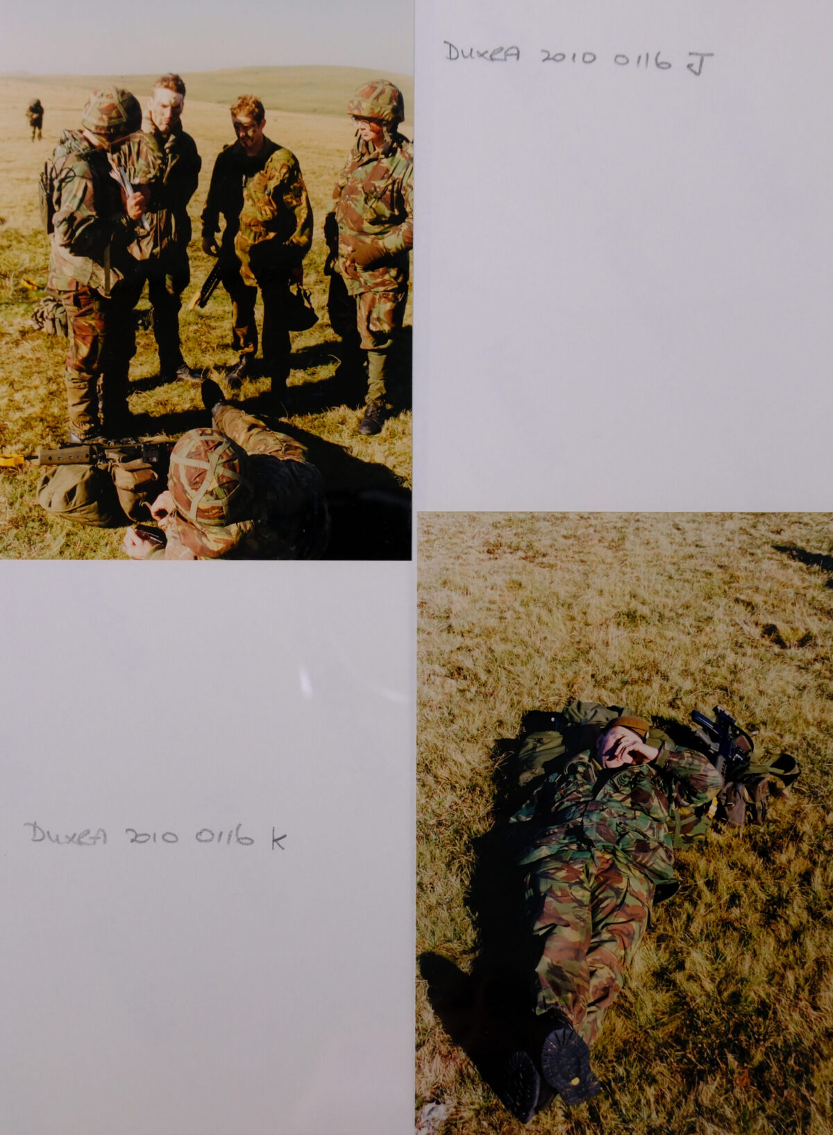 Royal Anglian Regiment. Royal Anglian Regiment.