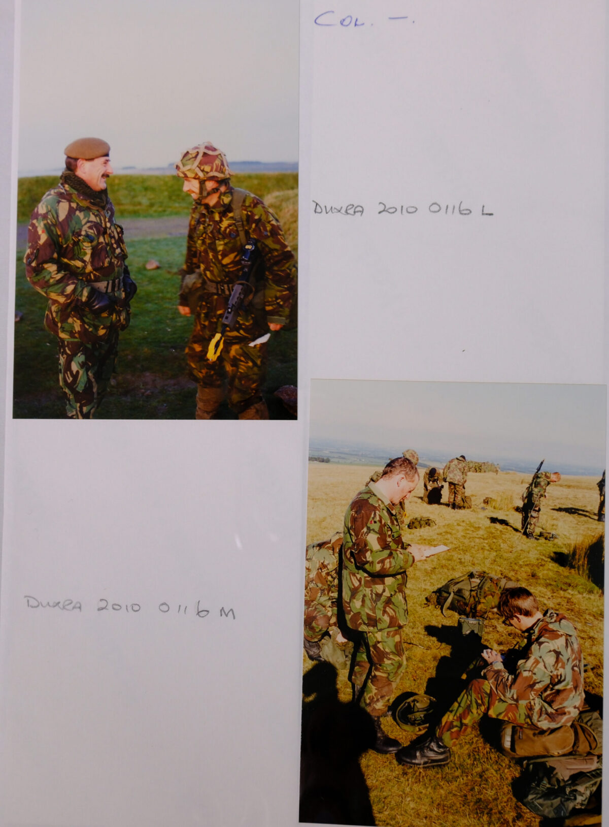 Royal Anglian Regiment. Royal Anglian Regiment.