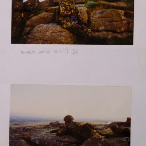 Royal Anglian Regiment Royal Anglian Regiment