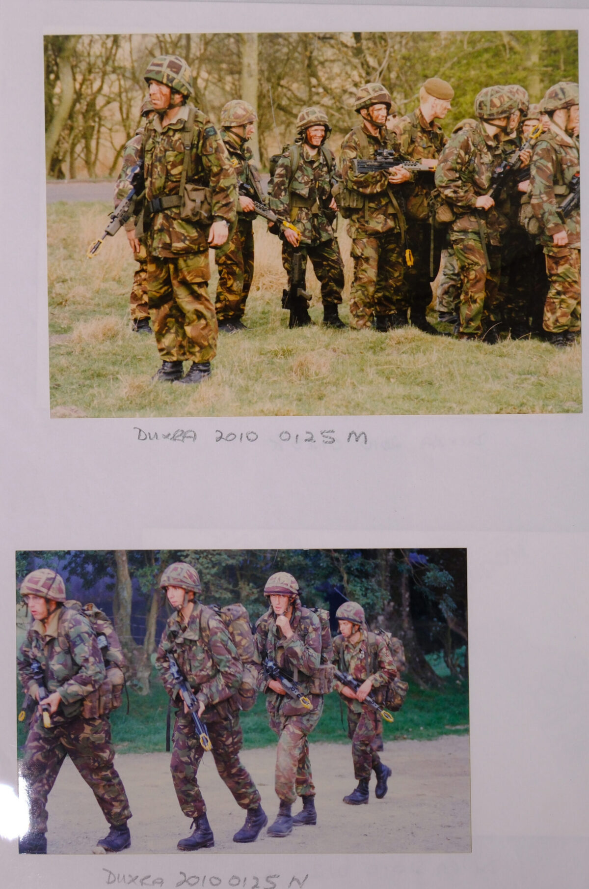 Royal Anglian Regiment Royal Anglian Regiment