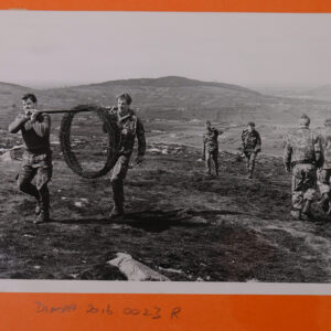 Royal Anglian Regiment Royal Anglian Regiment