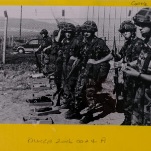 Royal Anglian Regiment Royal Anglian Regiment