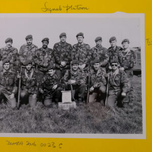 Royal Anglian Regiment Royal Anglian Regiment