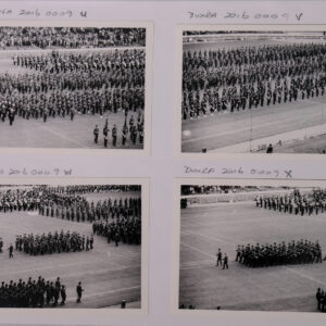 Royal Anglian Regiment Royal Anglian Regiment