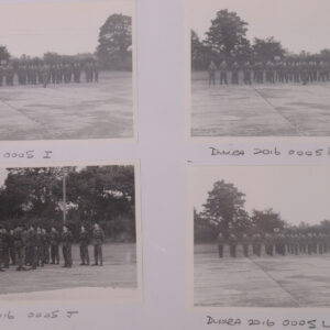 Royal Anglian Regiment Royal Anglian Regiment