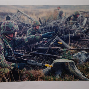 Royal Anglian Regiment Royal Anglian Regiment