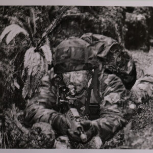 Royal Anglian Regiment Royal Anglian Regiment