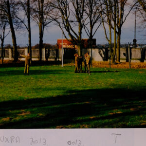 Royal Anglian Regiment