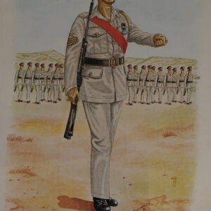 Royal Anglian Regiment