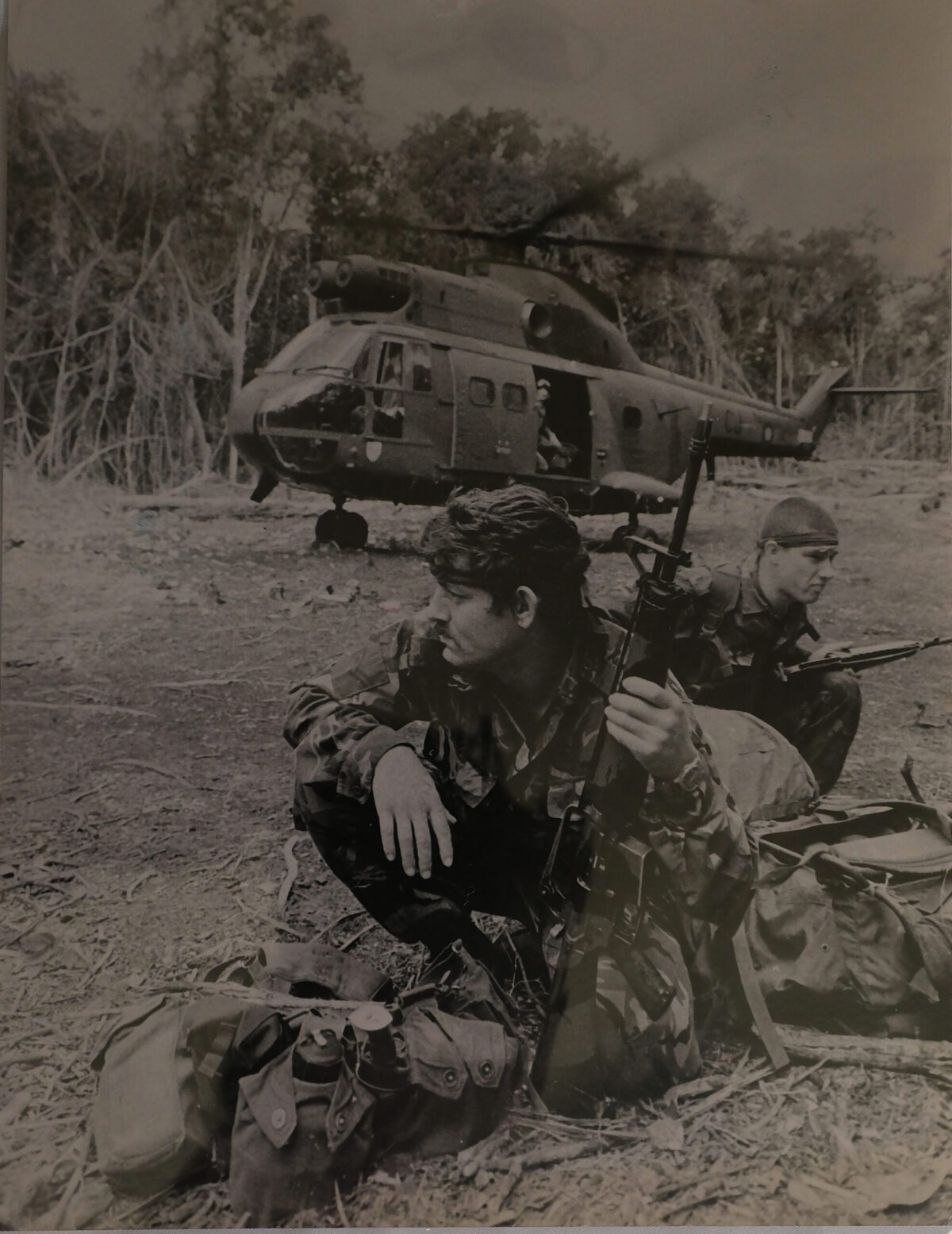 Royal Anglian Regiment Royal Anglian Regiment