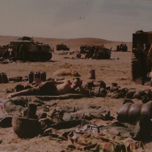 Royal Anglian Regiment Royal Anglian Regiment