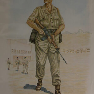 Royal Anglian Regiment Royal Anglian Regiment