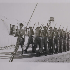 Royal Anglian Regiment Royal Anglian Regiment