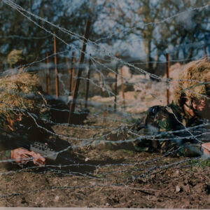 Royal Anglian Regiment Royal Anglian Regiment
